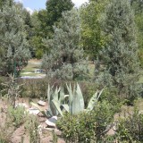 2012-08-04-037 2012-08-04-037
