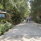 2012-08-04-053 2012-08-04-053