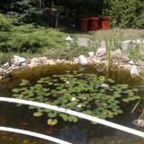 2012-08-04-054 2012-08-04-054