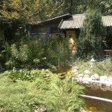 2012-08-04-055 2012-08-04-055